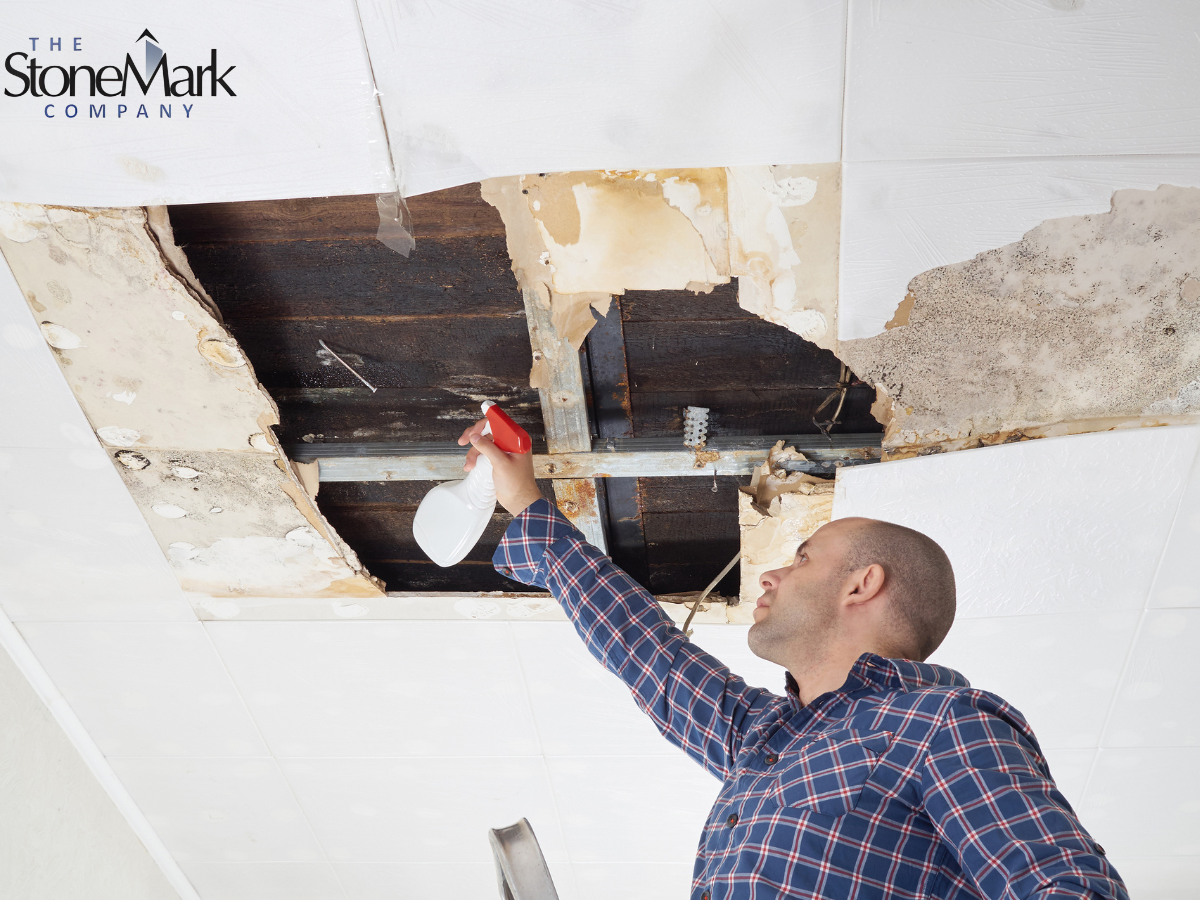 what to do if you find mold on your roof